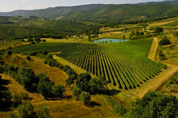 Cavalli - Tenuta Degli Dei