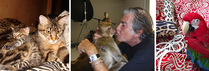 Roberto Cavalli with pets