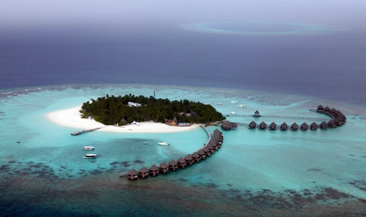 Roberto Cavalli - Maldive