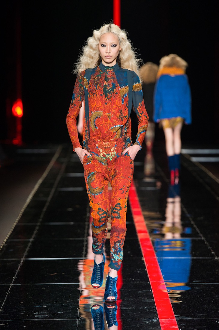 Just Cavalli FW 2013-14 (35)