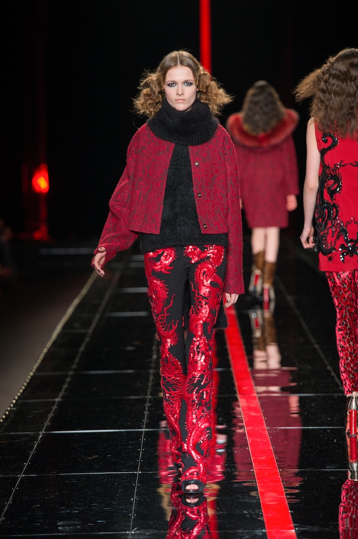 Just Cavalli FW 2013-14 (49)