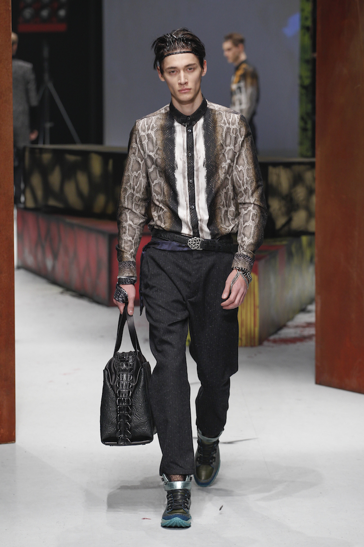 Roberto Cavalli Menswear FW 14-15 (9)