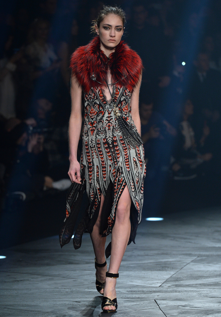 Roberto Cavalli FW 14-15 (29)