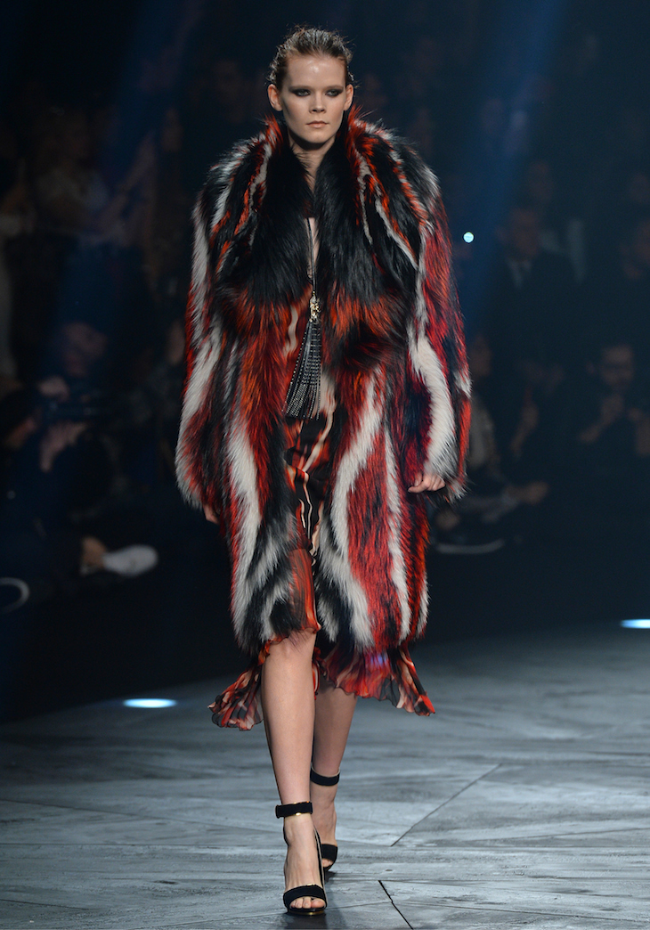 Roberto Cavalli FW 14-15 (34)