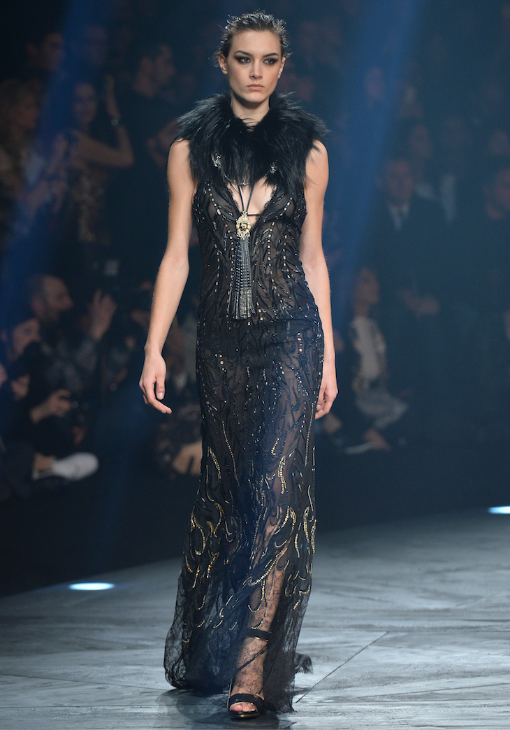 Roberto Cavalli FW 14-15 (52)