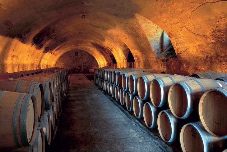 Tenuta degli Dei Cantina