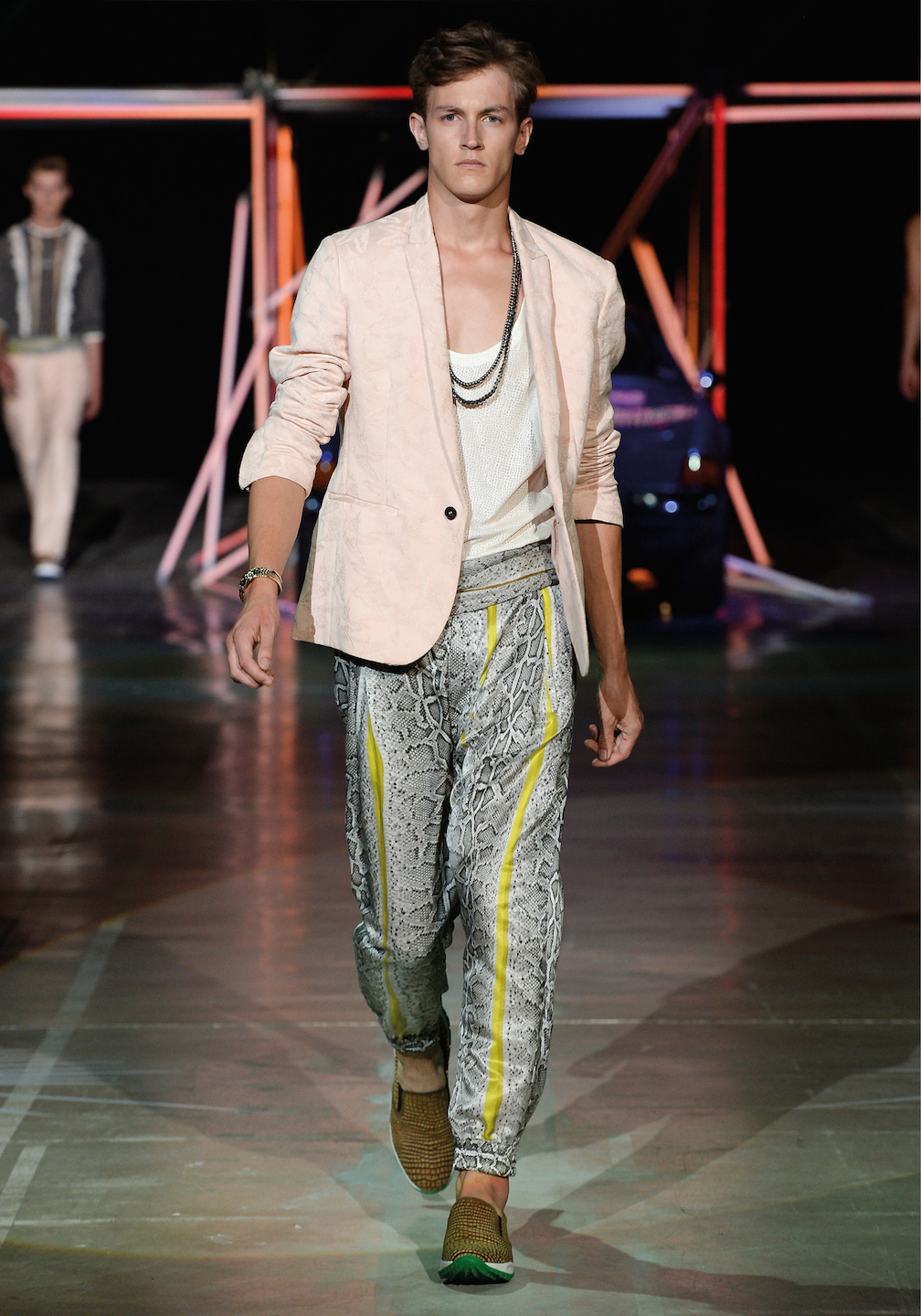 Roberto Cavalli Menswear SS 2015 (2)