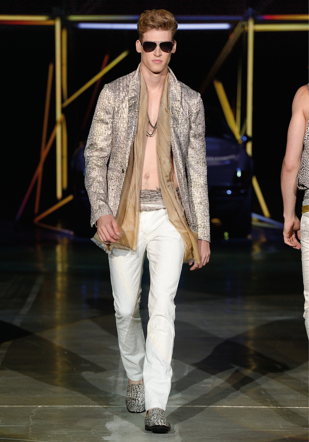 Roberto Cavalli Menswear SS 2015 (42)