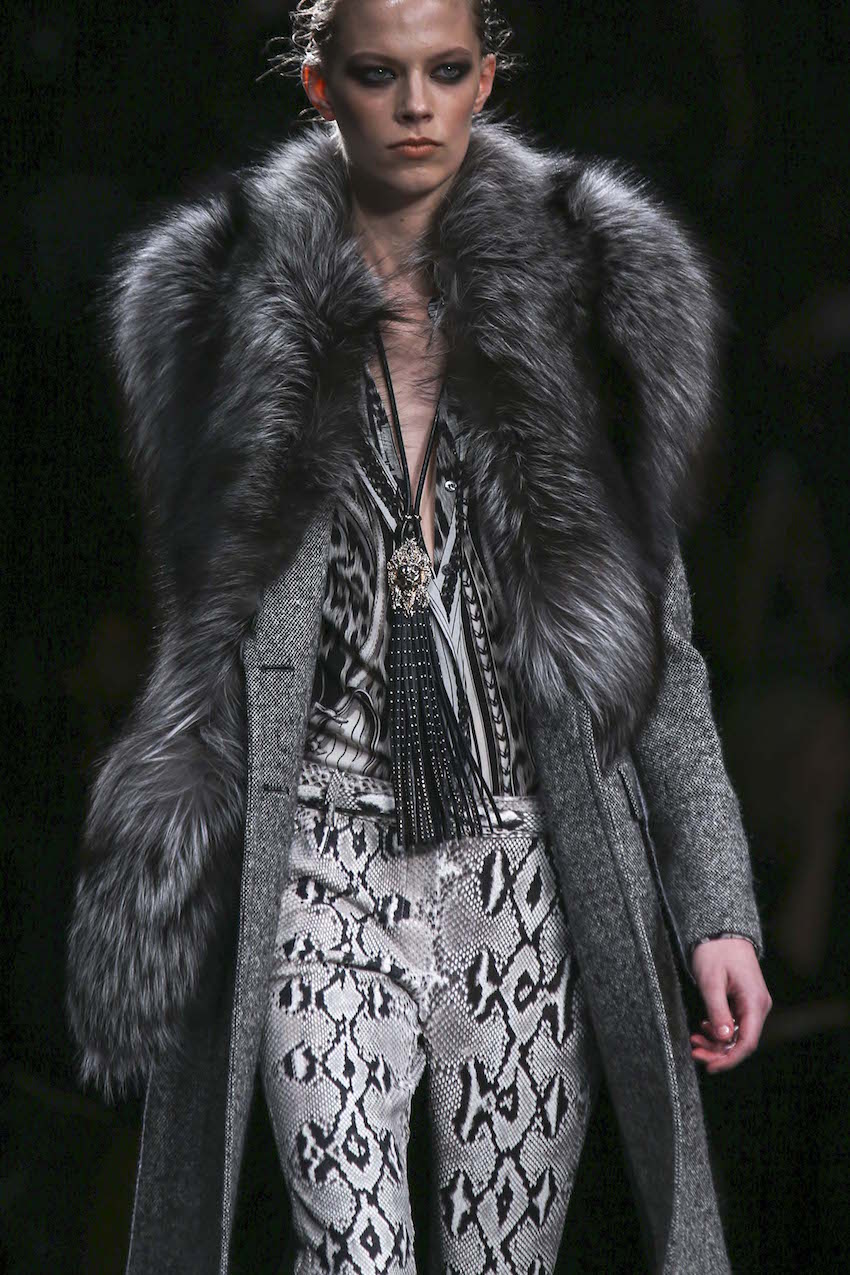 Roberto Cavalli FW 14-15 Details (1)