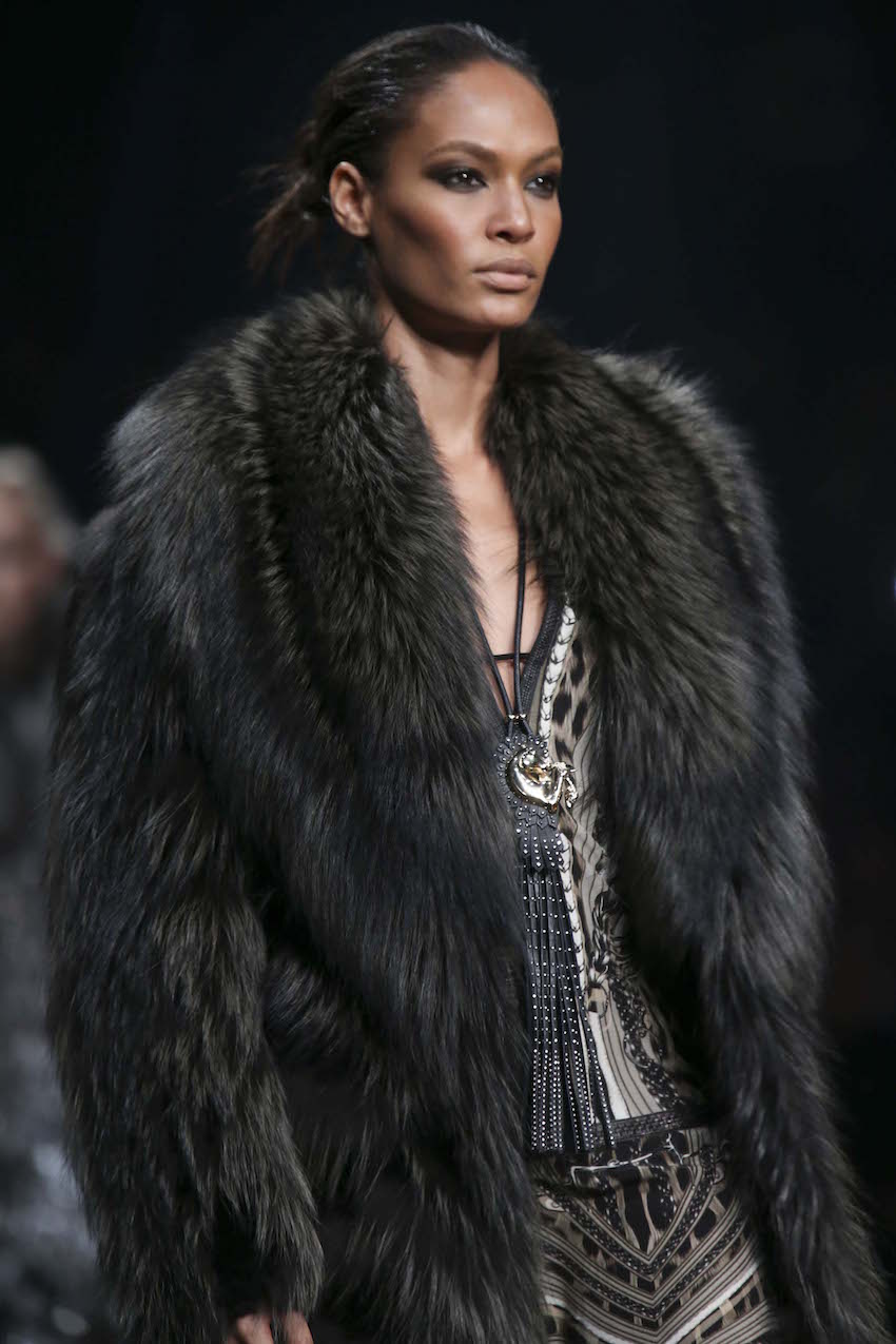 Roberto Cavalli FW 14-15 Details (23)