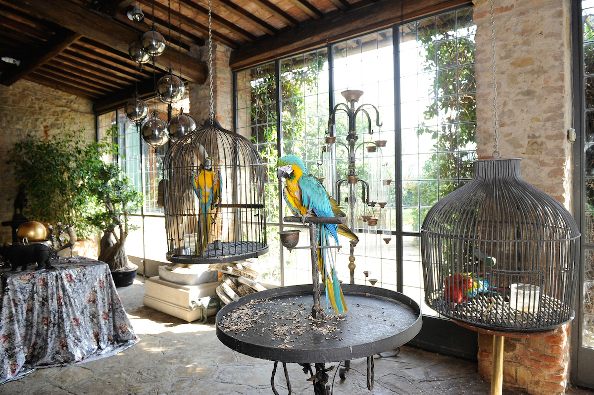 Roberto Cavalli home