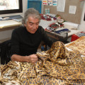 Roberto Cavalli